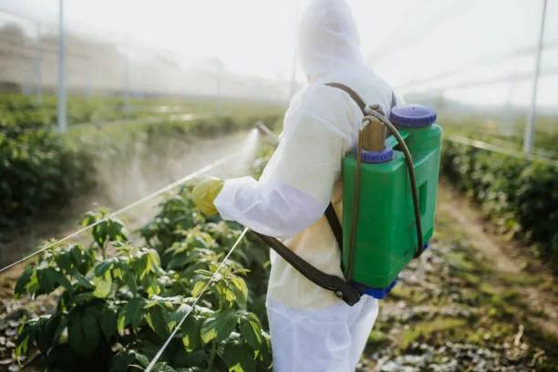 Nr 31 segurança e saúde no trabalho na agricultura